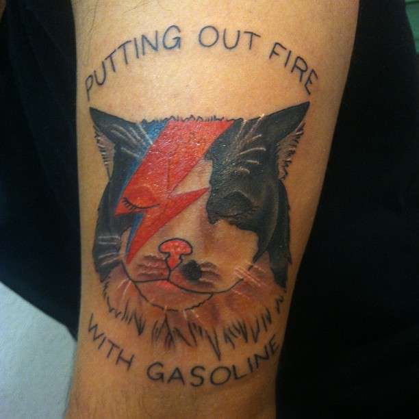 47021_577271282301264_1935049725_n