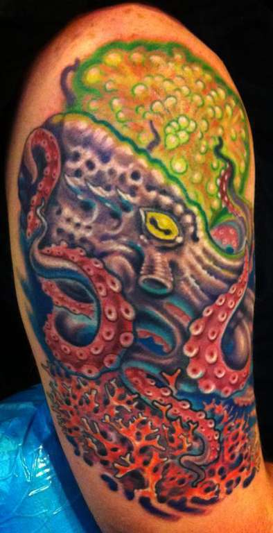 601427_490838184313312_1275583901_n