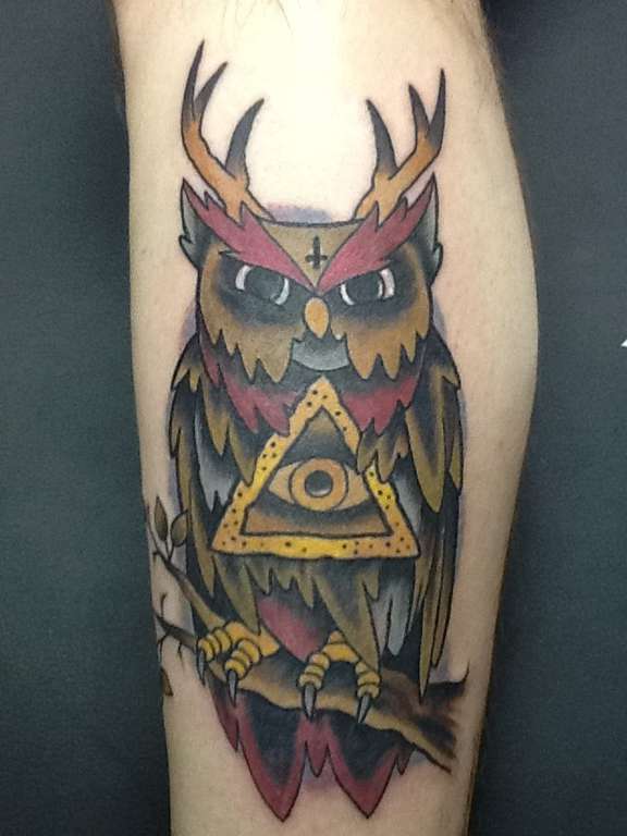 Owl_ant