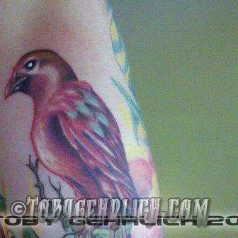 320041-10150291646626644-1433723304-n-jpg