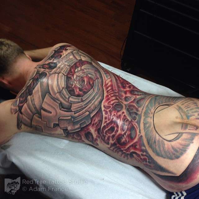 Adam-france-bio-back