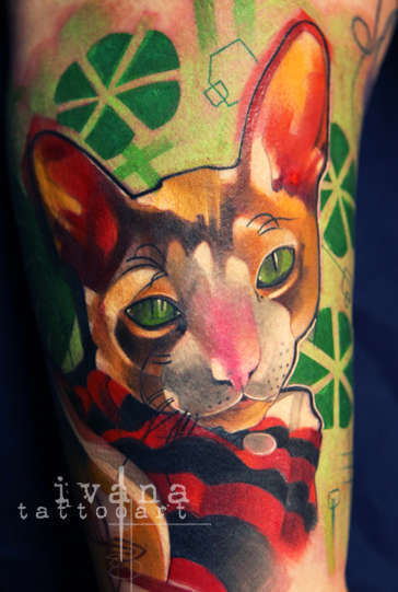Hairless_cat_portrait