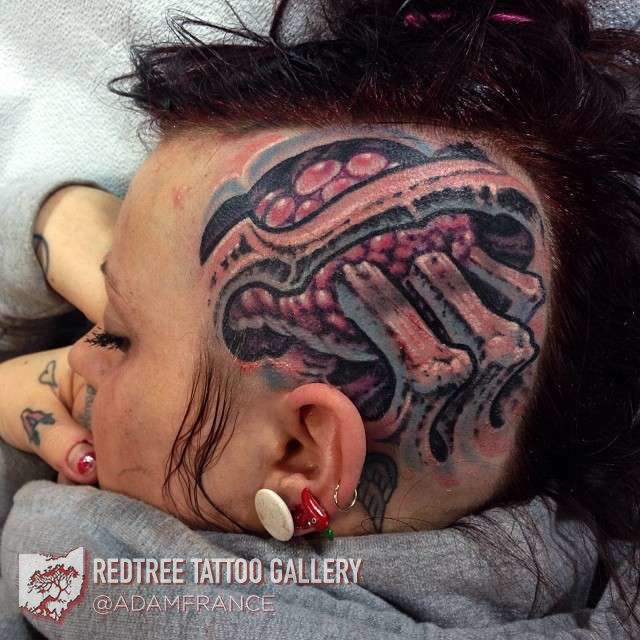 Adam-france-head-biomech