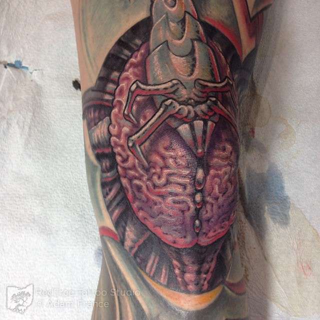 Adamfrance-kneebrain