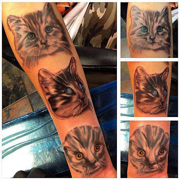 Catstamps