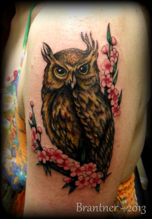 Jaden_owl
