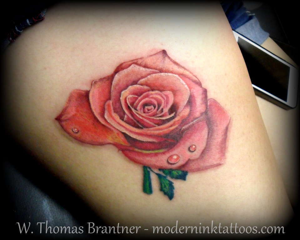 Realistic_rose_7-1-13