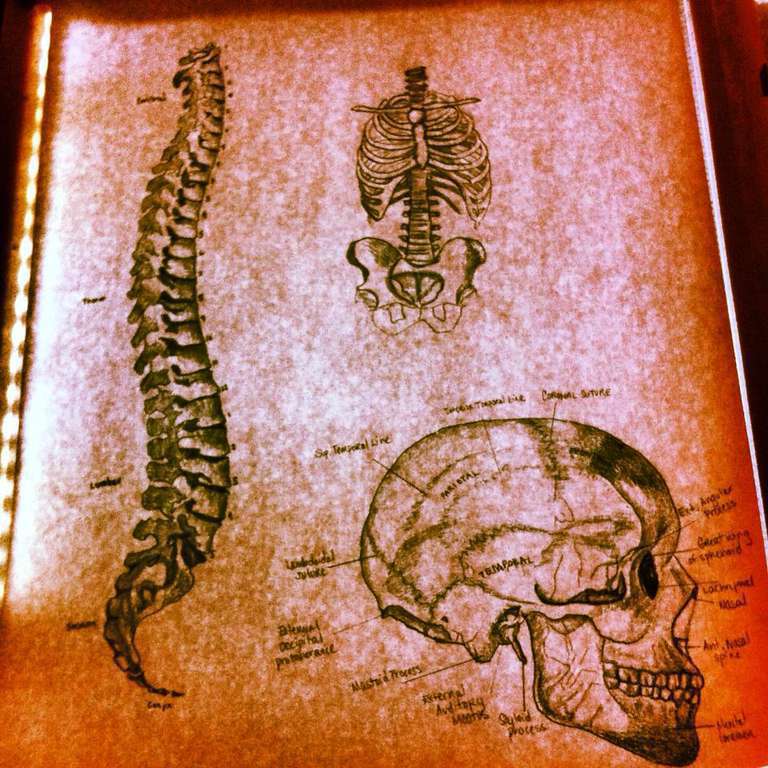 17759_10200808735799280_586722162_n