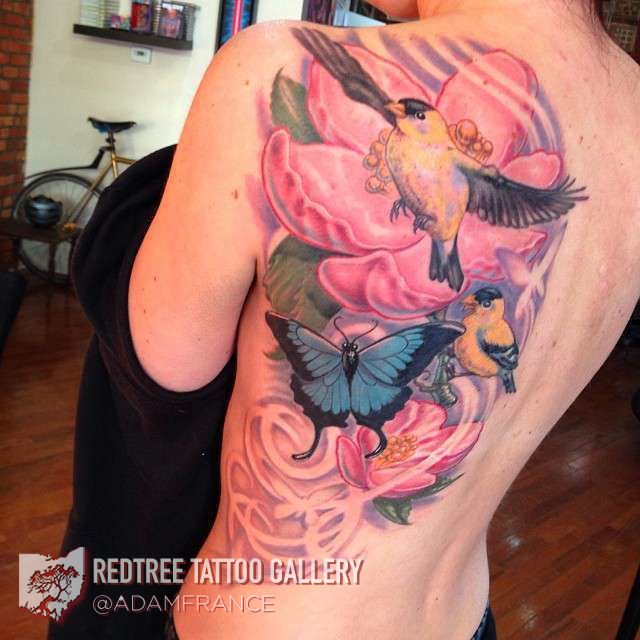 Adam-france-back-pink-birds