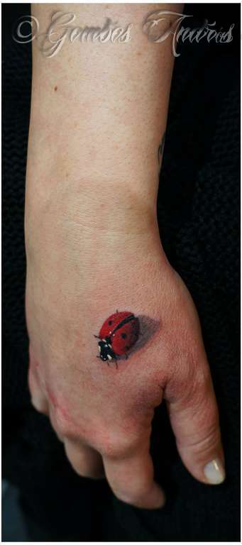 Gombos-ladybug-hand