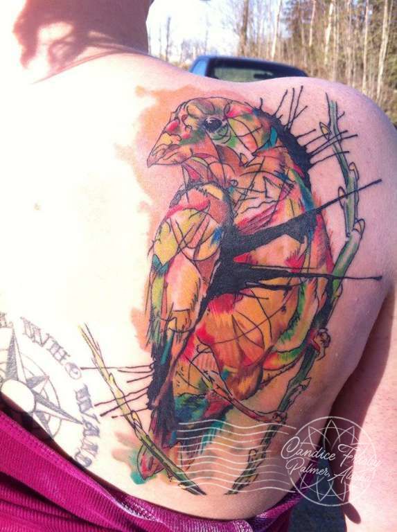 525772_3757385170262_963965227_n