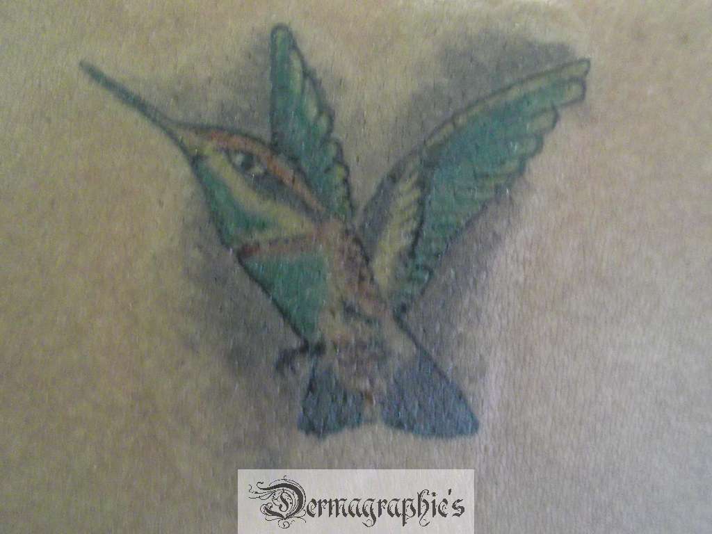 Dscf4967