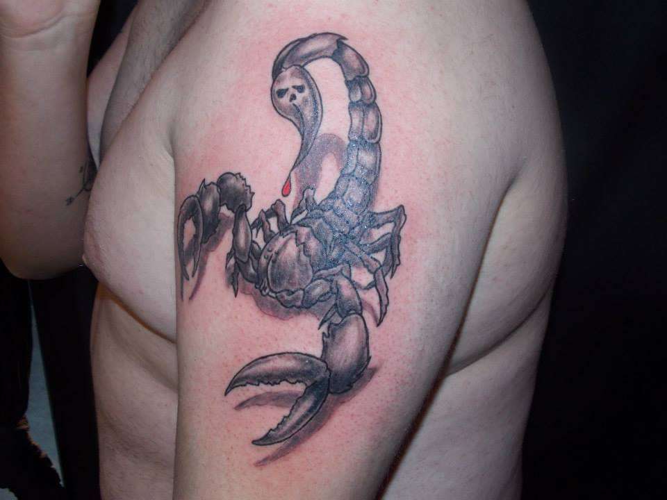 1472844_763900113627359_24115468_n