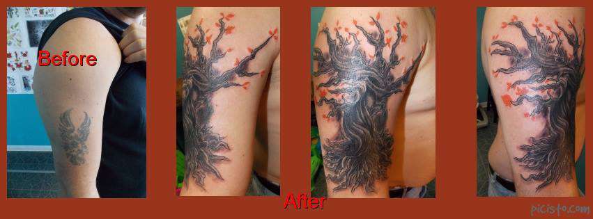 1472746_773174136033290_1316665812_n