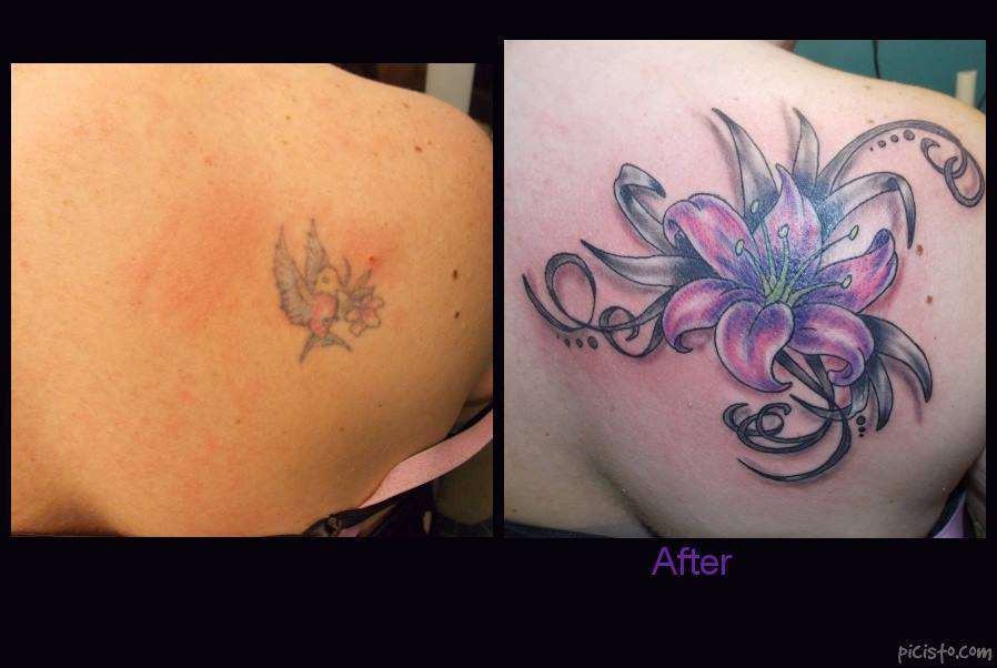 1453242_780031932014177_1153556183_n