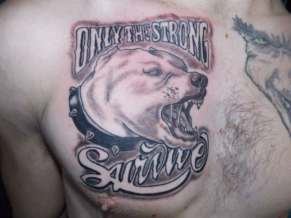 1391571_747939478556756_1570545377_n