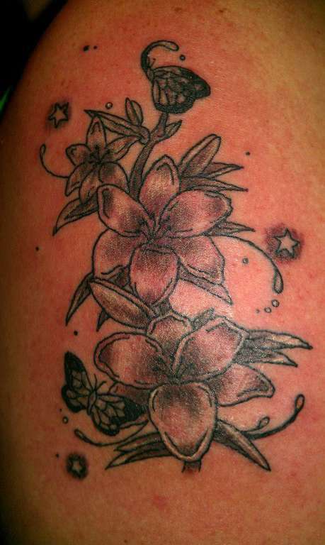 1238768_722341367783234_1070282610_n