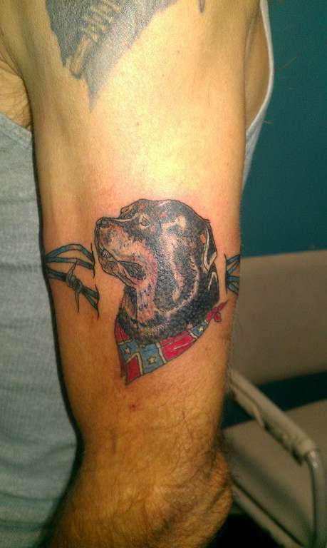 1234914_715651541785550_663377499_n