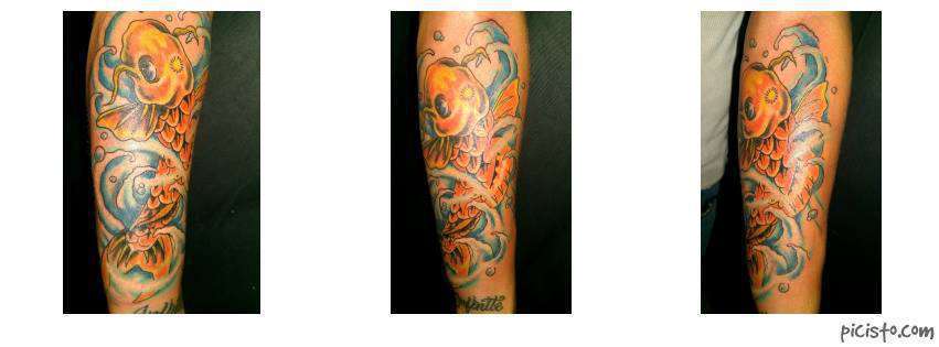 1174593_713558435328194_740634446_n