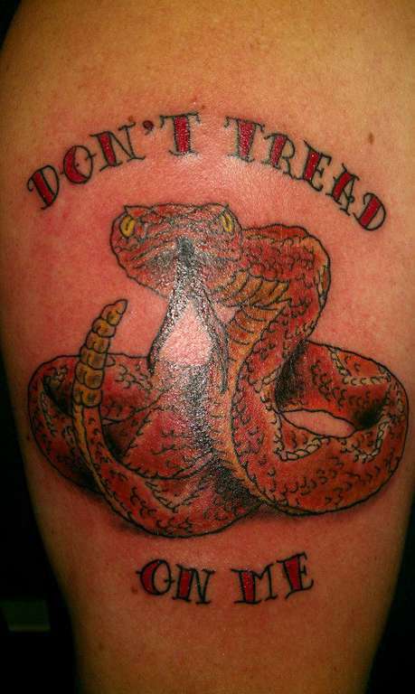 563579_722250021125702_2131324778_n