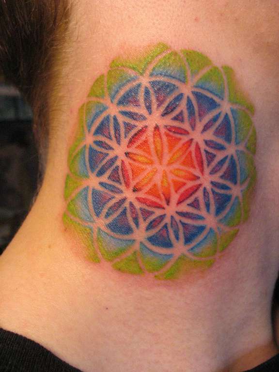 10153817_10203788588783042_1767123409_n