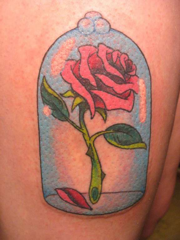 1394281_10151716736942327_981186575_n