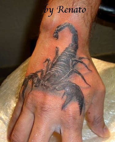 73318_324612730988720_1468359573_n