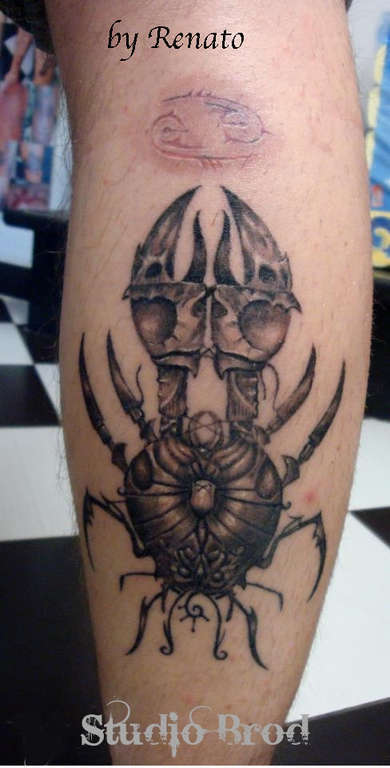 547232_2868477187301_1981757697_n