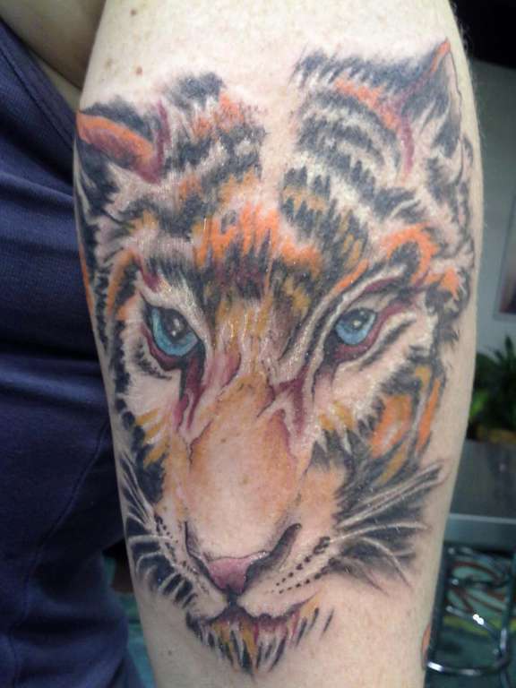 413305_10151024745873904_1161685326_o