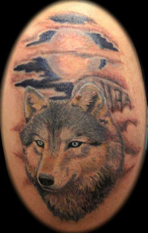 24633_535889796452120_372990500_n