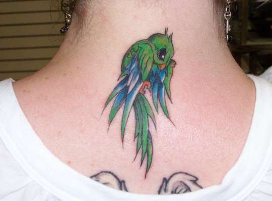 71909_142129385832686_8108887_n