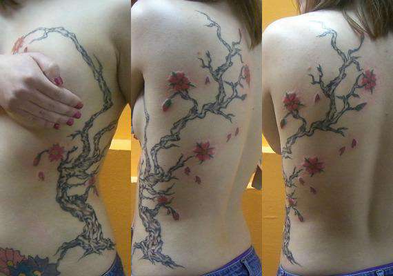 522365_180381922102856_1575860181_n