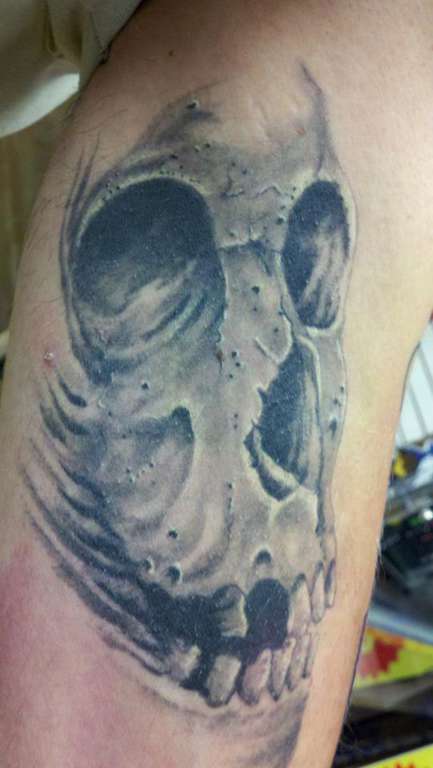 602263_180382012102847_391002123_n