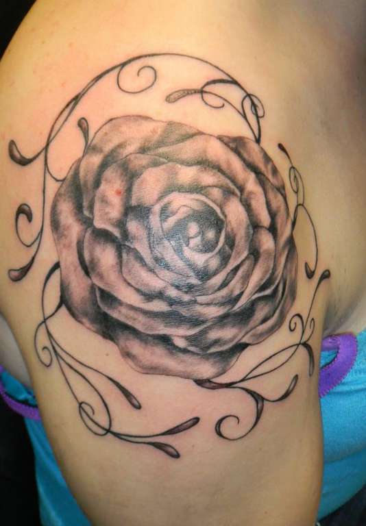 73084_184450975029284_769874452_n