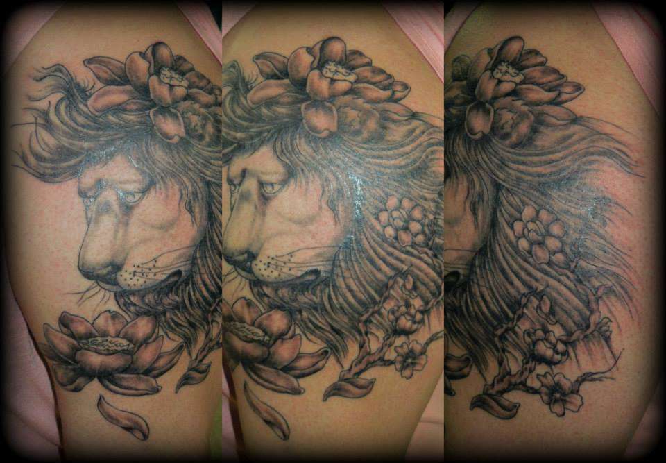 1231219_312592368881810_850580719_n