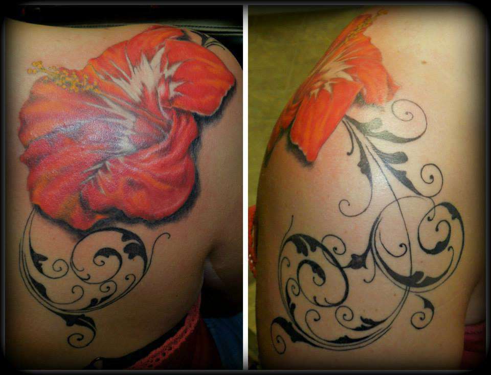 1385815_315319531942427_1592071382_n