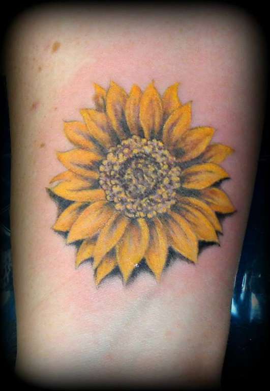 1488876_382679051873141_1953592801_n