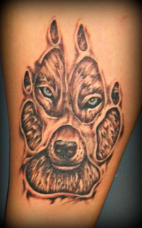 535491_225600050914376_1052205747_n