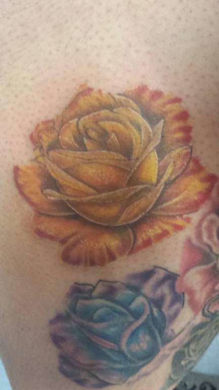 1621883_10151993602914387_1453261219_n