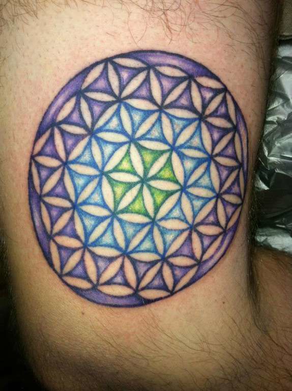 542911_10151172164414387_682202450_n