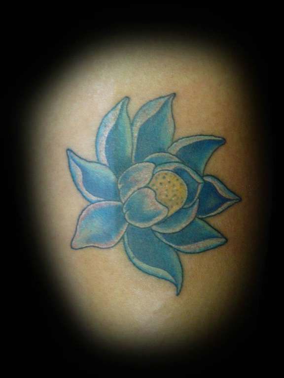 543336_10150727574944387_10512435_n