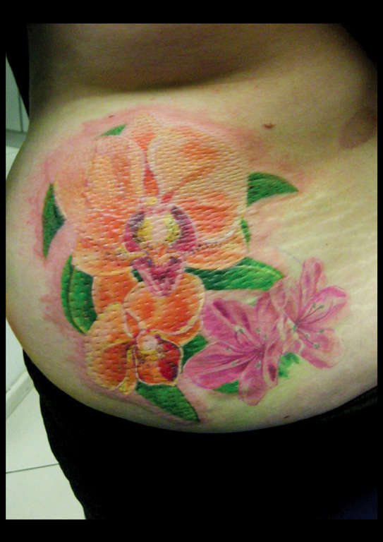 Milo_porti_2012-8_copy