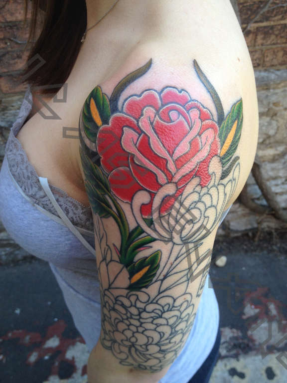 Roses
