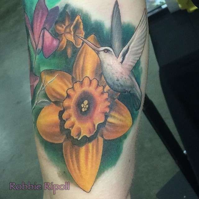 Robbie-humming-bird-flowers