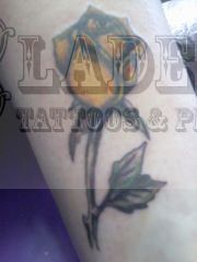 603928_734537626562892_1388748706_n