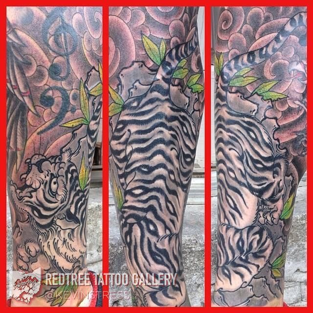 Kevinstress-tiger