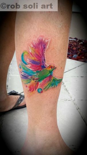 10268599_10203540884670247_7983515662435754496_n