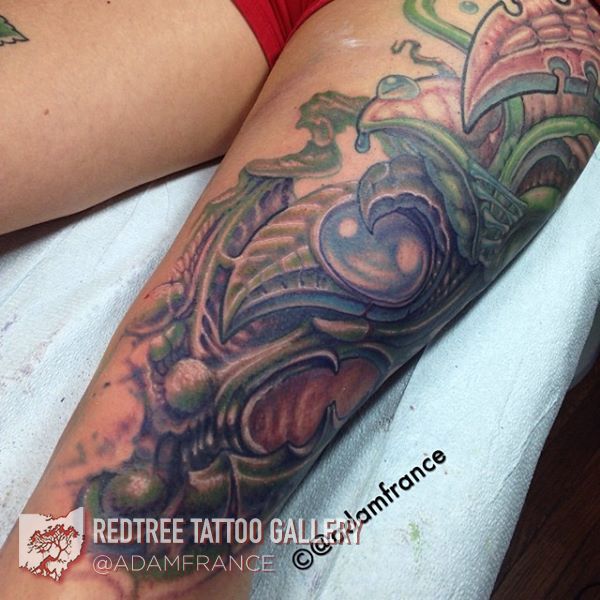 Adamfrance-organic-knee12