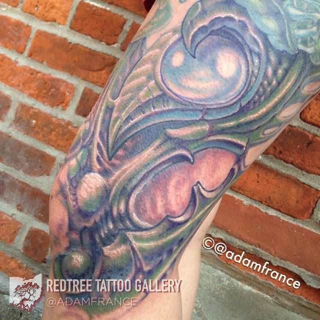 Adamfrance-organic-knee1