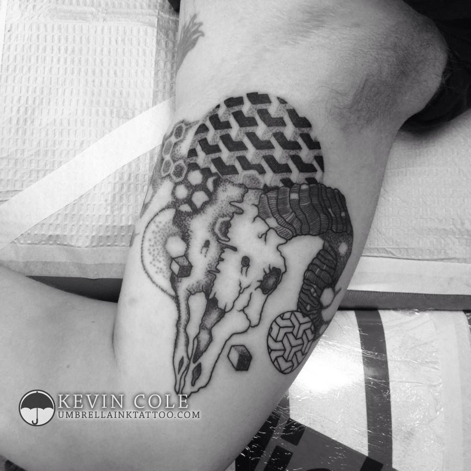 10426721_764004523669430_1677547465377972252_n